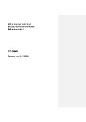 Curriculum Chemie S1
