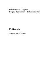 Curriculum Erdkunde S1